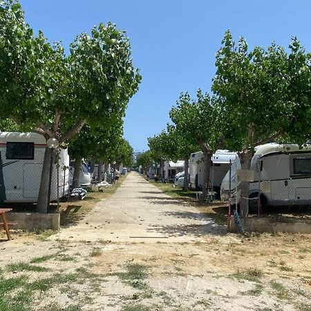 Camping Adriatico Martinsicuro Dış mekan fotoğraf